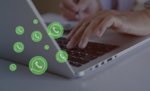 Whatsapp Marketing pratico con Botolo